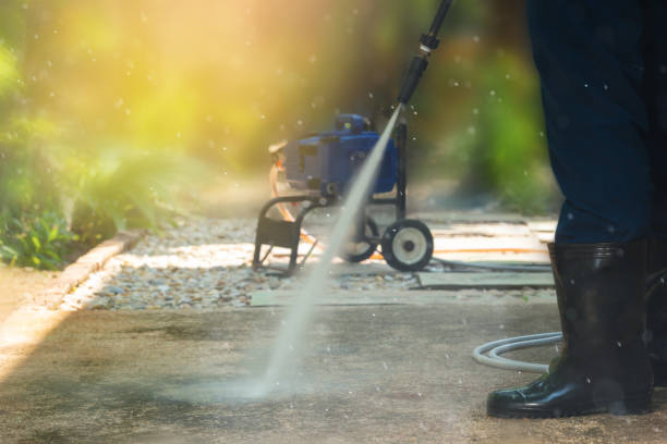 Best Building Exterior Washing  in El Macero, CA